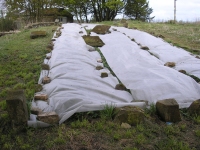 Portmoak Priory